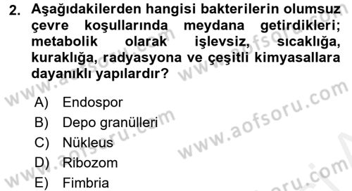 Besin Güvenliği ve Hijyen Dersi 2017 - 2018 Yılı (Final) Dönem Sonu Sınav Soruları 2. Soru