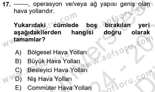 Hava Taşımacılığı Dersi 2024 - 2025 Yılı (Vize) Ara Sınav Soruları 17. Soru