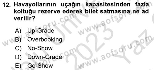Yolcu Hizmetleri Dersi 2023 - 2024 Yılı Yaz Okulu Sınav Soruları 12. Soru