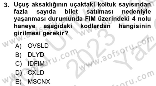 Yolcu Hizmetleri Dersi 2023 - 2024 Yılı Yaz Okulu Sınav Soruları 3. Soru