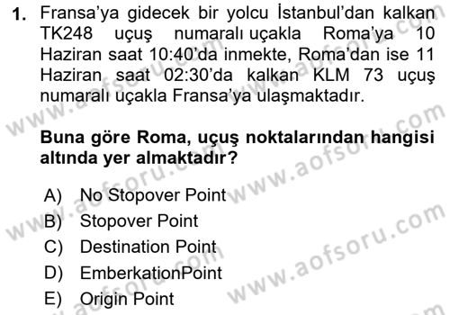 Yolcu Hizmetleri Dersi 2024 - 2025 Yılı (Vize) Ara Sınav Soruları 1. Soru