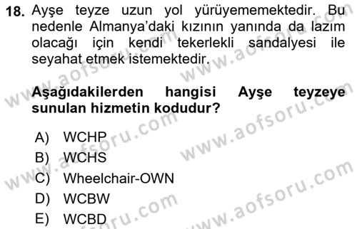 Yolcu Hizmetleri Dersi 2024 - 2025 Yılı (Vize) Ara Sınav Soruları 18. Soru