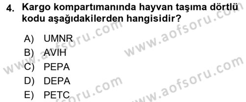 Yolcu Hizmetleri Dersi 2024 - 2025 Yılı (Vize) Ara Sınav Soruları 4. Soru