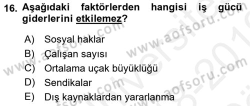 Havayolu Yönetimi Dersi 2018 - 2019 Yılı (Vize) Ara Sınav Soruları 16. Soru