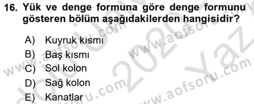 Harekat Performans Dersi 2020 - 2021 Yılı Yaz Okulu Sınav Soruları 16. Soru