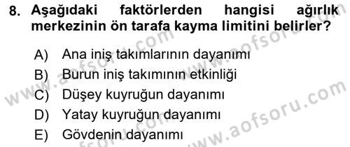 Harekat Performans Dersi 2021 - 2022 Yılı Yaz Okulu Sınav Soruları 8. Soru
