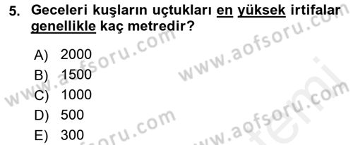 Hava Trafik Kontrol Hizmetleri Dersi 2017 - 2018 Yılı (Final) Dönem Sonu Sınav Soruları 5. Soru
