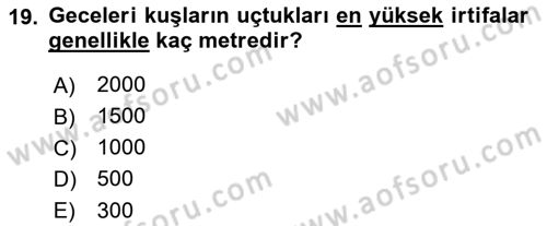 Hava Trafik Kontrol Hizmetleri Dersi 2018 - 2019 Yılı Yaz Okulu Sınav Soruları 19. Soru