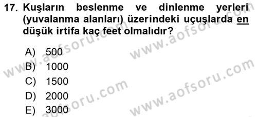 Hava Trafik Kontrol Hizmetleri Dersi 2023 - 2024 Yılı (Final) Dönem Sonu Sınav Soruları 17. Soru