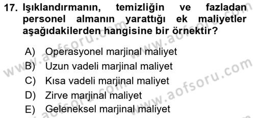 Havaalanı Yönetimi Dersi 2023 - 2024 Yılı (Vize) Ara Sınav Soruları 17. Soru