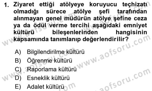 Havacılık Emniyeti Dersi 2018 - 2019 Yılı 3 Ders Sınav Soruları 1. Soru