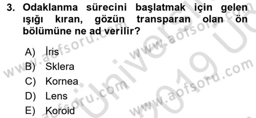 Havacılık Emniyeti Dersi 2018 - 2019 Yılı 3 Ders Sınav Soruları 3. Soru