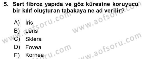 Havacılık Emniyeti Dersi Ara Sınavı Deneme Sınav Soruları 5. Soru