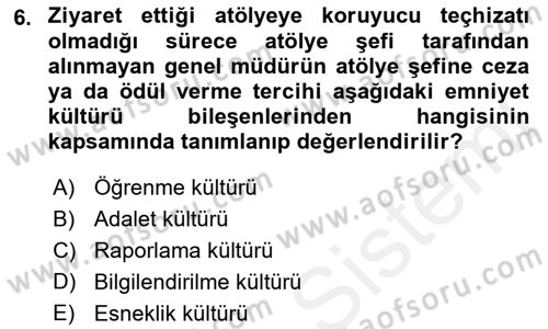 Havacılık Emniyeti Dersi 2018 - 2019 Yılı (Vize) Ara Sınav Soruları 6. Soru