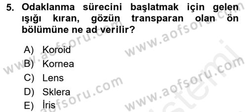 Havacılık Emniyeti Dersi 2018 - 2019 Yılı (Final) Dönem Sonu Sınav Soruları 5. Soru