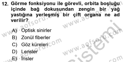 Havacılık Emniyeti Dersi 2018 - 2019 Yılı Yaz Okulu Sınavı 12. Soru