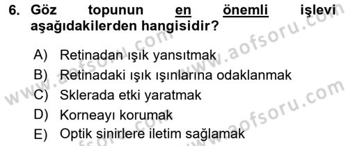 Havacılık Emniyeti Dersi Ara Sınavı Deneme Sınav Soruları 6. Soru