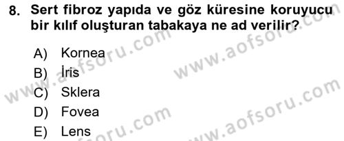 Havacılık Emniyeti Dersi 2019 - 2020 Yılı (Vize) Ara Sınav Soruları 8. Soru