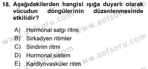Havacılık Emniyeti Dersi Ara Sınavı Deneme Sınav Soruları 18. Soru