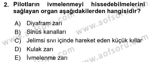 Havacılık Emniyeti Dersi 2021 - 2022 Yılı (Final) Dönem Sonu Sınav Soruları 2. Soru