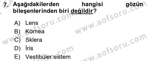 Havacılık Emniyeti Dersi 2022 - 2023 Yılı (Vize) Ara Sınav Soruları 7. Soru