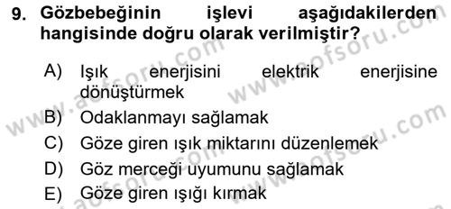 Havacılık Emniyeti Dersi Ara Sınavı Deneme Sınav Soruları 9. Soru