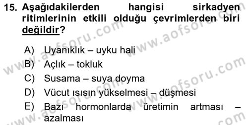 Havacılık Emniyeti Dersi Ara Sınavı Deneme Sınav Soruları 15. Soru