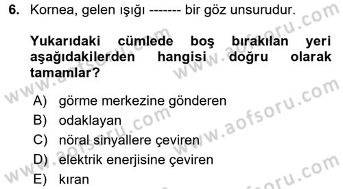 Havacılık Emniyeti Dersi 2023 - 2024 Yılı (Vize) Ara Sınav Soruları 6. Soru