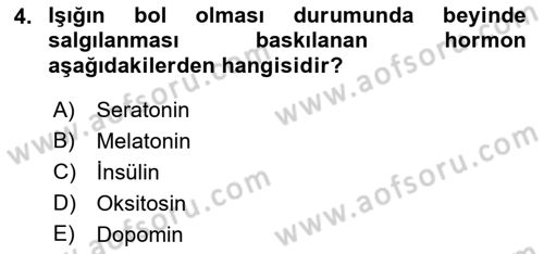 Havacılık Emniyeti Dersi 2023 - 2024 Yılı (Final) Dönem Sonu Sınav Soruları 4. Soru
