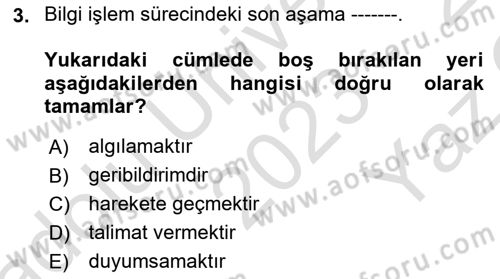 Havacılık Emniyeti Dersi 2023 - 2024 Yılı Yaz Okulu Sınav Soruları 3. Soru