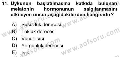 Havacılık Emniyeti Dersi Ara Sınavı Deneme Sınav Soruları 11. Soru