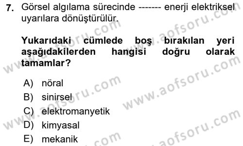 Havacılık Emniyeti Dersi 2024 - 2025 Yılı (Vize) Ara Sınav Soruları 7. Soru