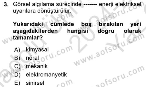 Havacılık Emniyeti Dersi 2024 - 2025 Yılı Yaz Okulu Sınav Soruları 3. Soru