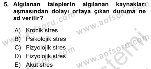 Havacılık Emniyeti Dersi 2024 - 2025 Yılı Yaz Okulu Sınav Soruları 5. Soru