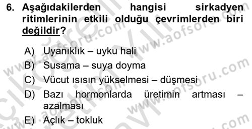 Havacılık Emniyeti Dersi 2024 - 2025 Yılı Yaz Okulu Sınav Soruları 6. Soru