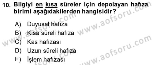 Havacılık Emniyeti Dersi 2025 - 2026 Yılı (Vize) Ara Sınav Soruları 10. Soru