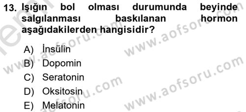 Havacılık Emniyeti Dersi 2025 - 2026 Yılı (Vize) Ara Sınav Soruları 13. Soru