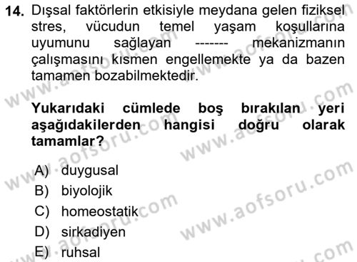 Havacılık Emniyeti Dersi 2025 - 2026 Yılı (Vize) Ara Sınav Soruları 14. Soru