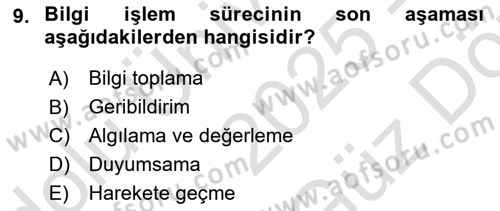 Havacılık Emniyeti Dersi 2025 - 2026 Yılı (Vize) Ara Sınav Soruları 9. Soru