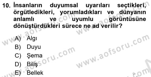 Halkla İlişkilerde Etkili İletişim Dersi 2023 - 2024 Yılı (Final) Dönem Sonu Sınav Soruları 10. Soru