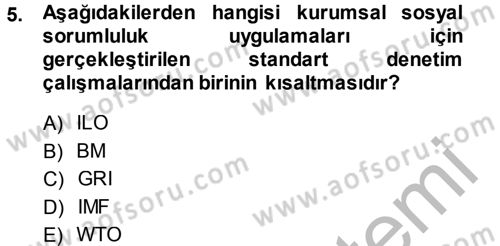 Kurumsal Sosyal Sorumluluk Dersi 2013 - 2014 Yılı (Vize) Ara Sınav Soruları 5. Soru