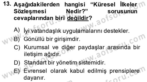 Kurumsal Sosyal Sorumluluk Dersi 2014 - 2015 Yılı Tek Ders Sınav Soruları 13. Soru