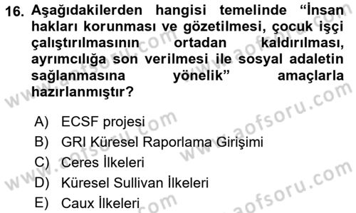 Kurumsal Sosyal Sorumluluk Dersi 2018 - 2019 Yılı 3 Ders Sınavı 16. Soru