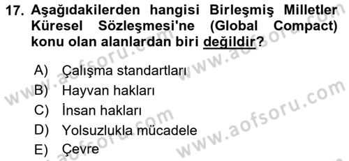 Kurumsal Sosyal Sorumluluk Dersi 2018 - 2019 Yılı (Final) Dönem Sonu Sınav Soruları 17. Soru