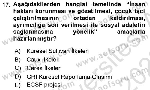 Kurumsal Sosyal Sorumluluk Dersi 2021 - 2022 Yılı Yaz Okulu Sınav Soruları 17. Soru