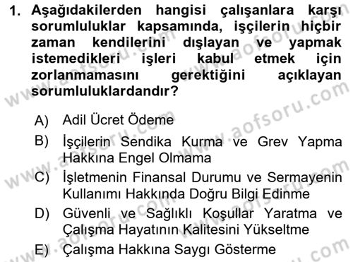 Kurumsal Sosyal Sorumluluk Dersi 2024 - 2025 Yılı (Vize) Ara Sınav Soruları 1. Soru