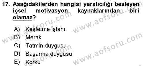 Reklamda Yaratıcılık Dersi 2021 - 2022 Yılı Yaz Okulu Sınav Soruları 17. Soru