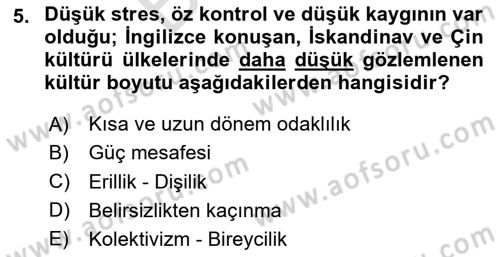 Reklamda Yaratıcılık Dersi 2024 - 2025 Yılı (Final) Dönem Sonu Sınav Soruları 5. Soru