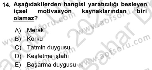 Reklamda Yaratıcılık Dersi 2025 - 2026 Yılı (Vize) Ara Sınav Soruları 14. Soru