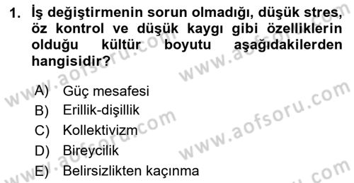 Reklamda Yaratıcılık Dersi 2025 - 2026 Yılı Yaz Okulu Sınav Soruları 1. Soru